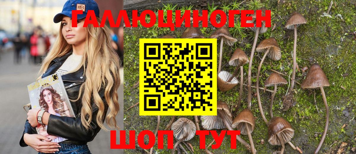 Псилоцибиновые грибы мухоморы Братск