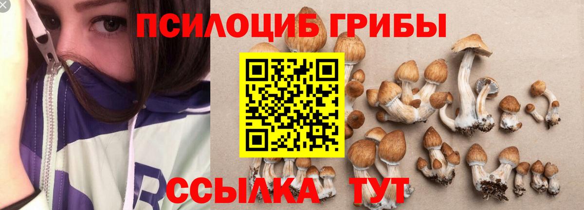 хочу   Псилоцибиновые грибы ЛСД  Галлюциногенные грибы Cubensis  Вход с VPN  Братск 