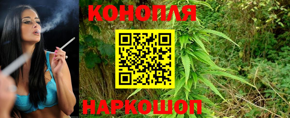 Бошки марихуана семена Братск